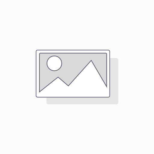 CINCHO DE PLASTICO 250MM X 4.5MM